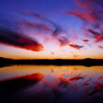 Full HD 1080p wallpaper 205
