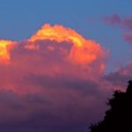 P1450525