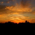 IMG 0472