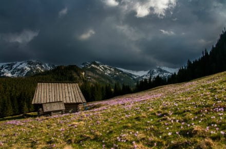 dawid zawila 223725