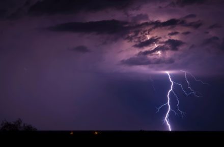 arizona 2012 195404