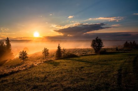 rsz dawid zawila 118913 unsplash