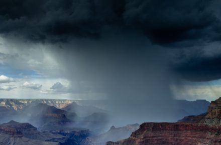 madhu shesharam 420176 unsplash