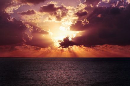 nick scheerbart 15637 unsplash