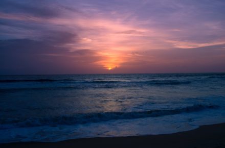 harshit sharma 387980 unsplash