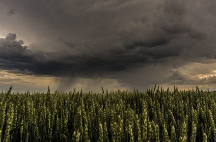 agriculture cloud formation clouds 459129