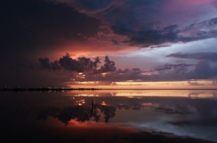 jonathan alegria 664930 unsplash