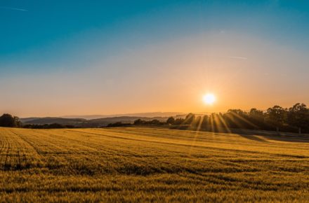 federico respini 314377 unsplash