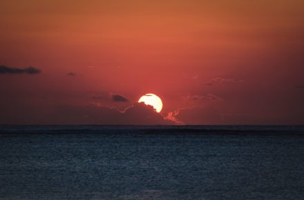 jorg angeli 388465 unsplash
