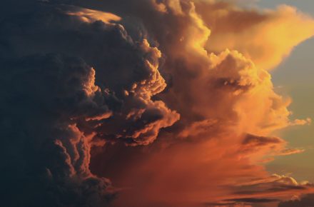 michael weidner 978689 unsplash