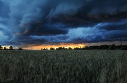 clark young 487525 unsplash