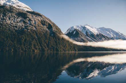 tobias tullius 225743 unsplash