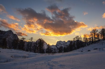 ales krivec 2052 unsplash