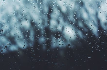 noah silliman 247651 unsplash