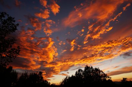 steven feldman 469191 unsplash
