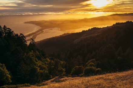 forrest cavale 3040 unsplash