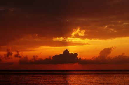 stelios kazazis 21404 unsplash
