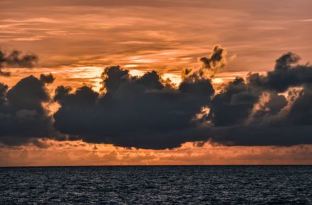 jase ess 649632 unsplash