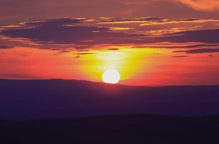 benjamin szabo 241159 unsplash1