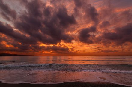 quino al 104675 unsplash1