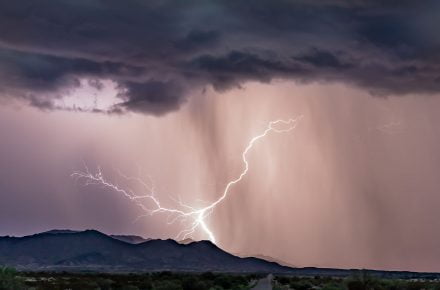 rd gray 1293262 unsplash1