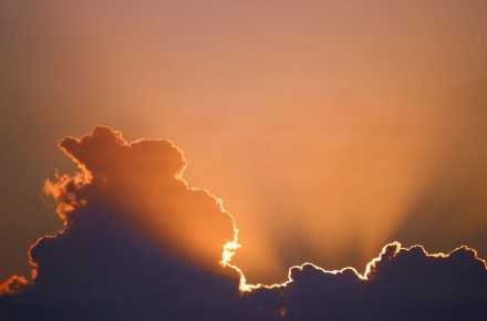 marcus dall col XU mMDweXR4 unsplash 1