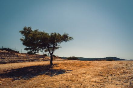 christine sandu 9FOmlWpZW2U unsplash