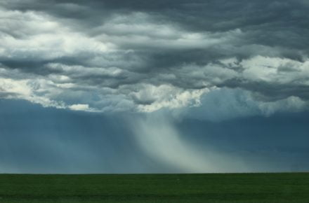 laura seaman GVN8m3tEKrY unsplash