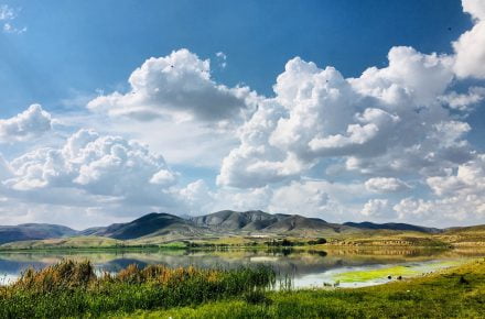 neda astani KWTkd7mHqKE unsplash