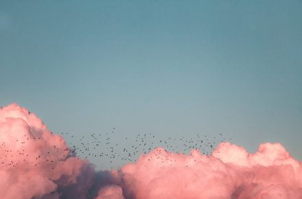 kenrick mills MF9Wy1NA55I unsplash