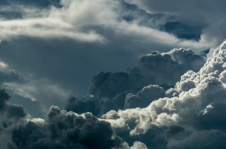 pexels pixabay 209831 1