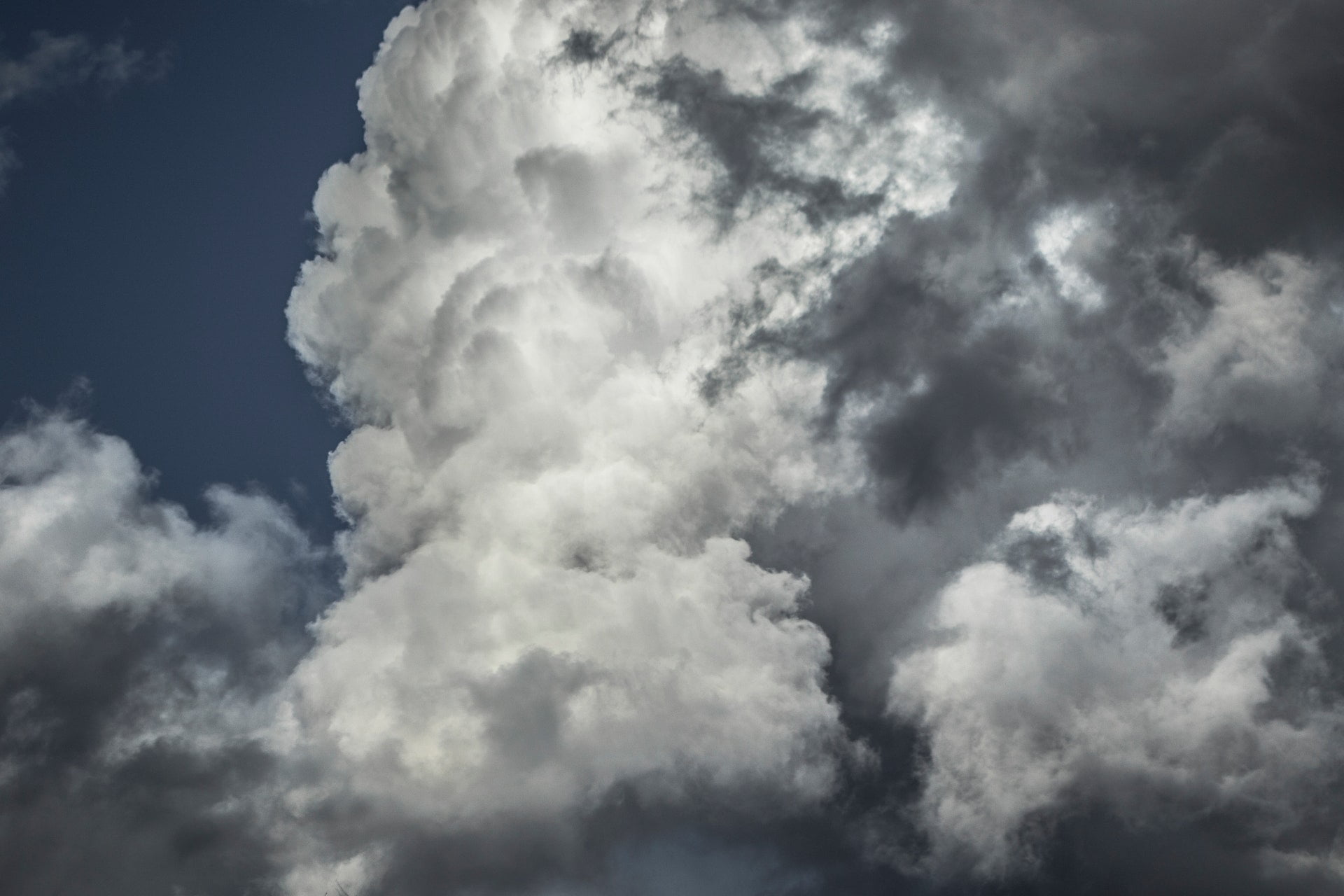 pexels sindre strom 1048269