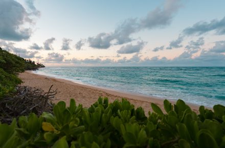 ryan grady SQv87idmBk4 unsplash