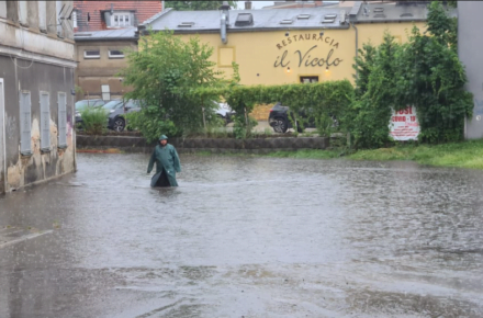 image 74