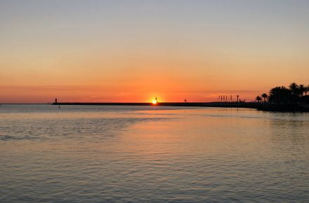 martin courreges NmVGRdtDyx8 unsplash
