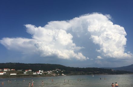 rosalia porto vilas sixto 9rIt3zXoAqQ unsplash