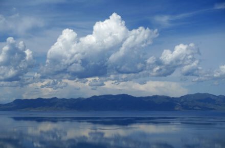 dou sha WfCmNom4M4Q unsplash