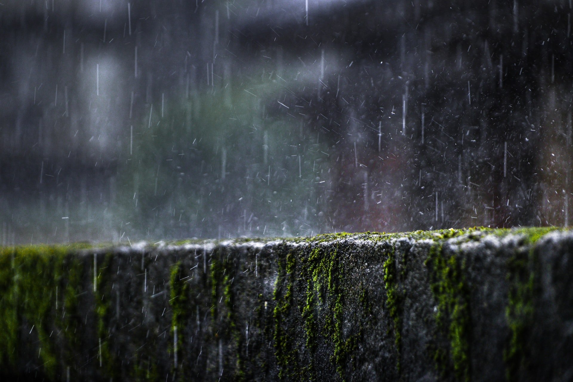 kevin wong bI423DxLEYk unsplash
