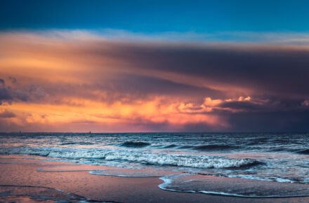 marek piwnicki Q4trosePYW4 unsplash