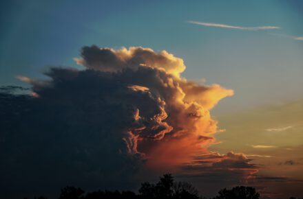 michael diane weidner u8X0HCV2X1Y unsplash