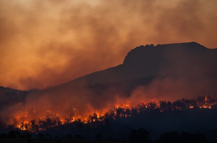 matt palmer kbTp7dBzHyY unsplash