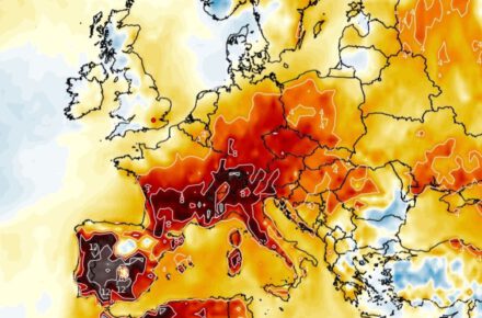 erdf