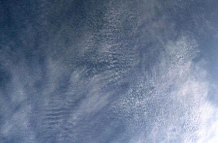 Cirrocumulus undulatus